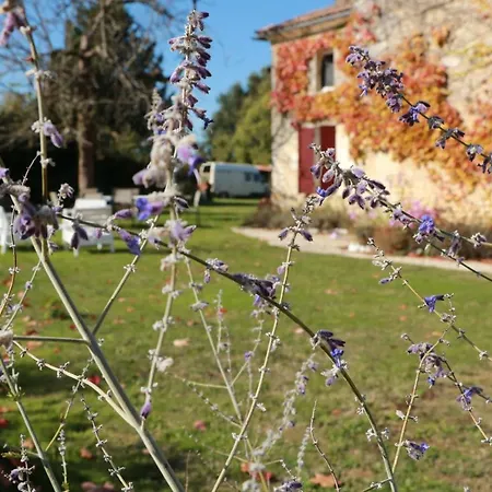 Parentale De Luxe 홈스테이 Rouffignac